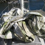 Unfortunately the mainsail had been stored on deck.  The Oregon winter started a great crop of moss.