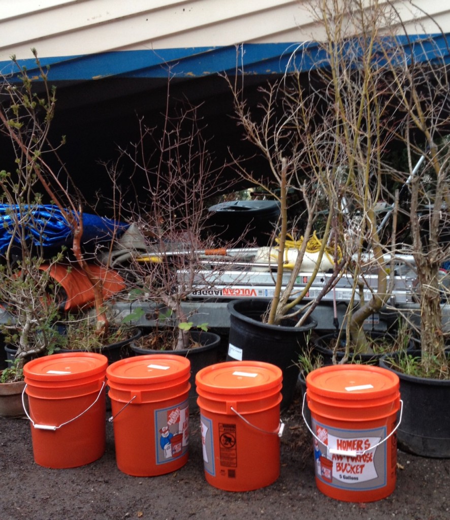 four buckets full of Diesel.  A fifth is partially full, contains a mix of motor oil, dirty diesel and water.